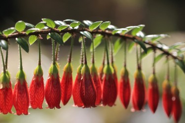 佛山私人快速借钱网，轻松解决资金难题