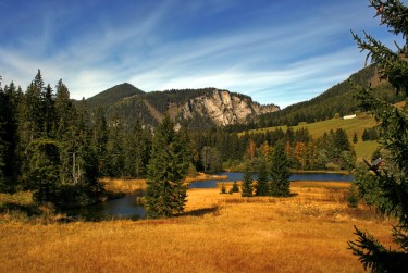 佛山民间私贷攻略：揭秘低成本借贷的秘密