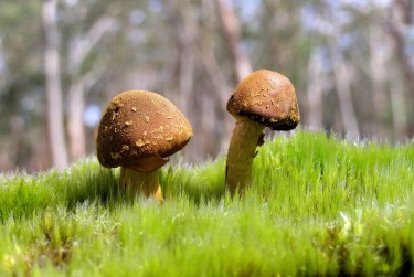 佛山私人老板放款：轻松融资的秘密通道